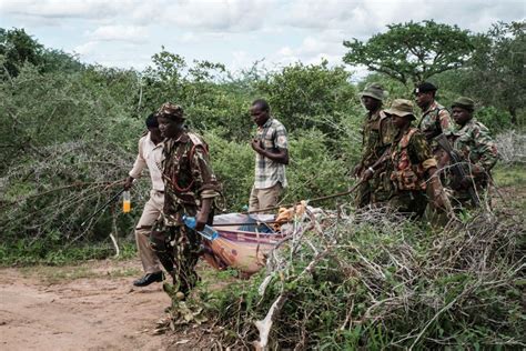 Kenya Starvation Cult Toll Climbs To 83 As More Bodies Found The Citizen