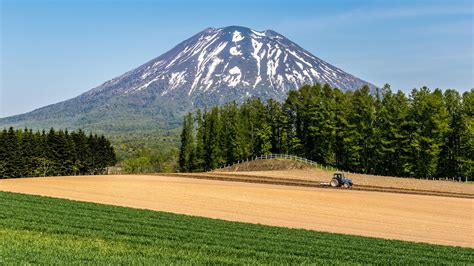 Berencana Liburan Ke Hokkaido Jepang Di Musim Panas 7 Tempat Wisata