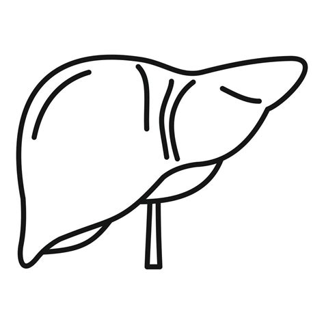 Human Liver Icon Outline Style Vector Art At Vecteezy