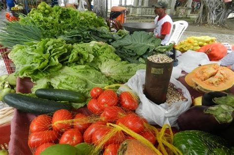 Feira da Agricultura Familiar comercializa produtos orgânicos dia 8 O