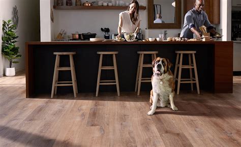 Whats The Best Flooring For Dogs