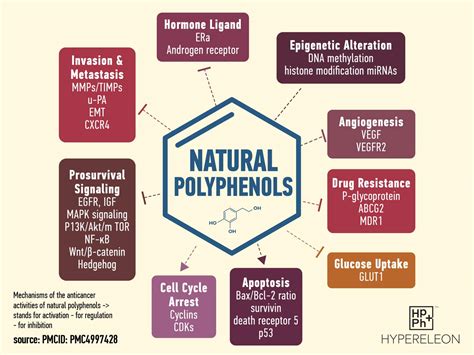 How Natural Polyphenols Prevent And Treat Cancer