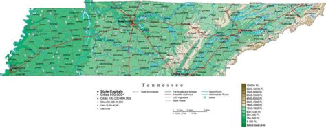 Tennessee Contour Map in Adobe Illustrator Digital Vector Format