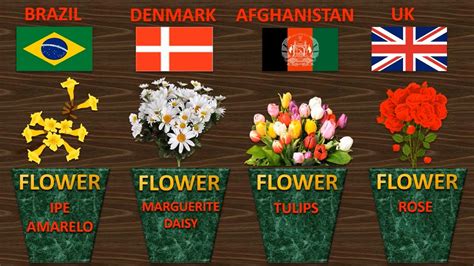 National Flowers Of Countries National Flower Of World Countries