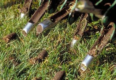 How to Aerate Your Lawn | Planet Natural