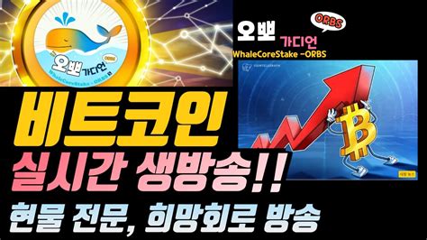 LIVE 3월 16일 비트코인 실시간 방송 오뽀가디언 비트코인TV 비트코인 실시간 차트분석 YouTube