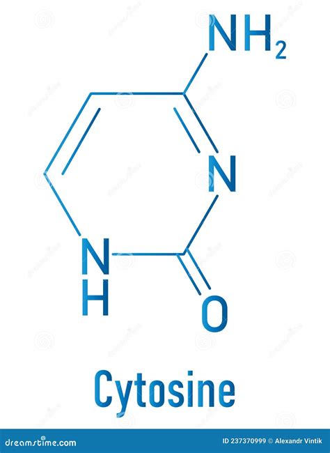 Cytosine C Cyt Nucleobase Chemical Formula And Skeletal Structure