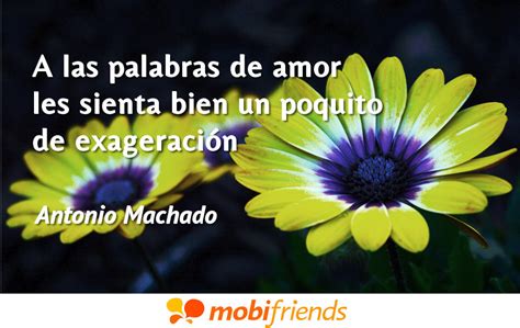 Frases Irónicas De Amor Mobifriends