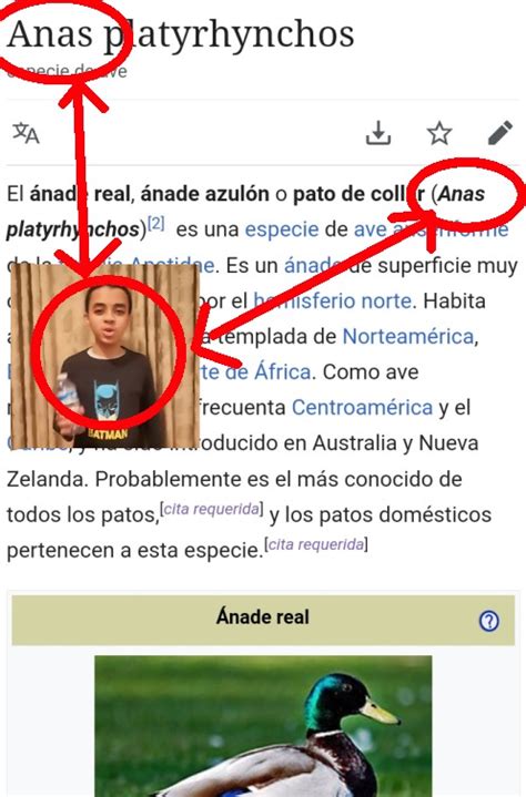 Memedroid Reference Meme Subido Por Polaris77 Memedroid