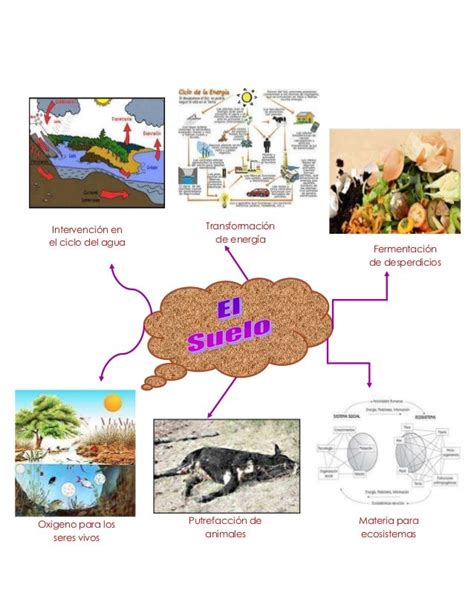 Mapa Mental Del Suelo