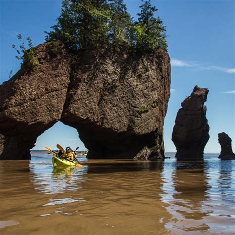 Baie De Fundy Explorenb Tourisme Nouveau Brunswick