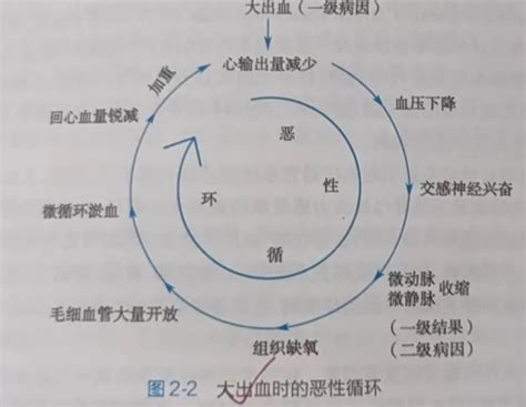 病理生理学第一章绪论及第二章疾病概论 哔哩哔哩