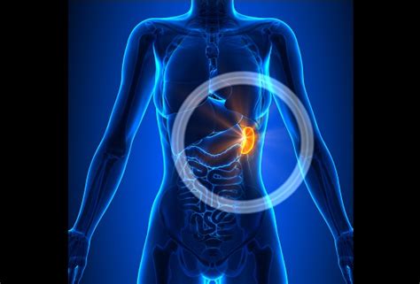 What Causes Splenomegaly Disease Symptoms And Treatment