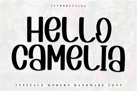 Hello Camelia Font By Inermedia Studio Creative Fabrica