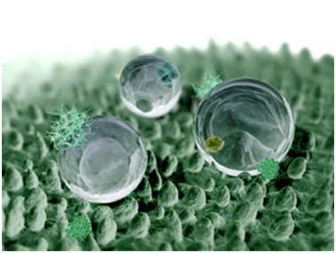 MultiBrief: Biomimetic materials: New ways to copy nature