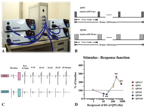 Quadripulse Stimulation Qps A Qps Stimulators Four Monophasic