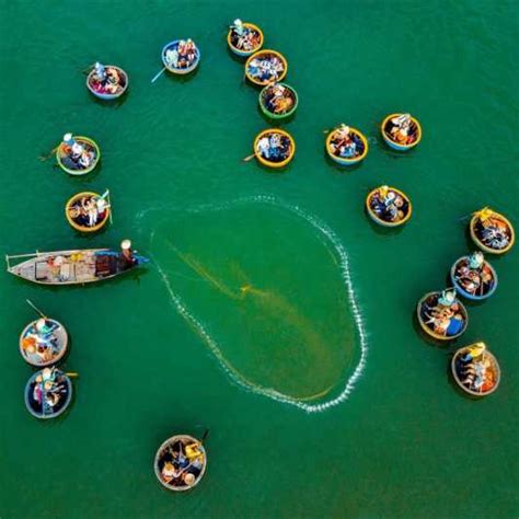 Ba Tran Hoi An Basket Boat Ride In Water Coconut Forest Getyourguide