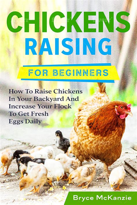 Chickens Raising For Beginners The Essential Guide To Easily Raise