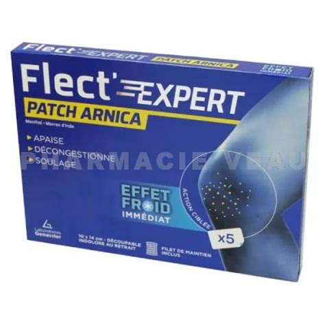 Flect Expert Patch Arnica Effet Froid Imm Diat Patch D Coupable