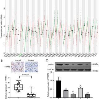 Mir B P Is Highly Expressed In Crc A And B Rt Qpcr Analysis Of