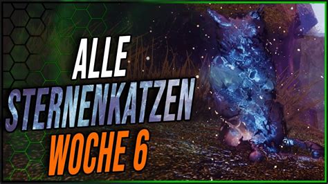 ALLE Sternenkatzen Woche 6 Rückzugsort Gärten Konfluenz Destiny 2