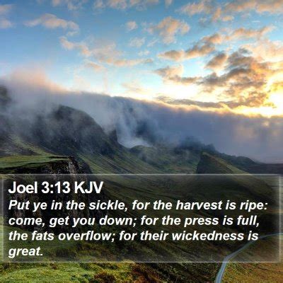 Joel 3 Scripture Images - Joel Chapter 3 KJV Bible Verse Pictures