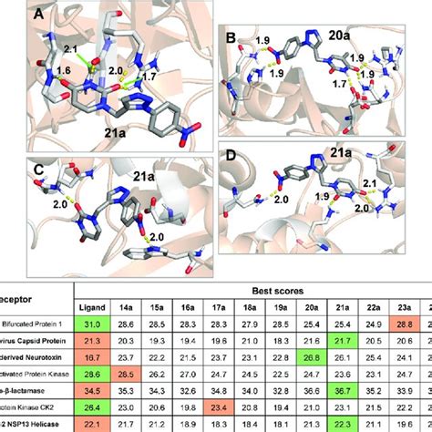 Best Docking Poses Of Compounds 14a 25a Versus Co Crystalized Ligands