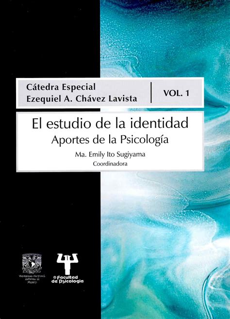 El Estudio De La Identidad Aportes De La Psicolog A Libro