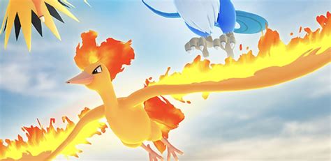 Moltres Raid Guide For Pokémon Go Players Hidden Gems