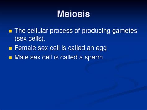 Genetics Chapter Ppt Download