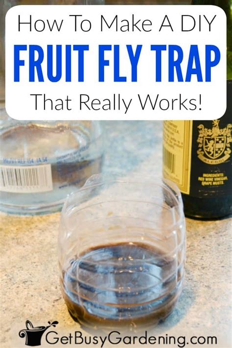 How To Make A Homemade Diy Fruit Fly Trap Get Busy Gardening