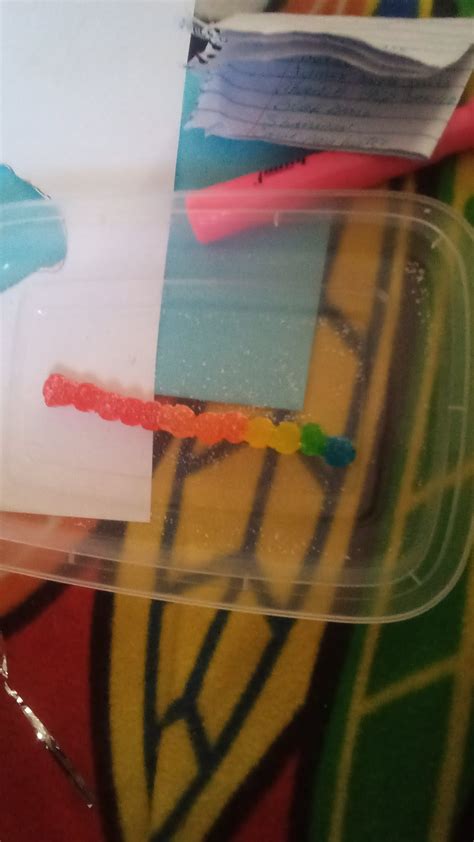 Rainbow centipede : r/sourpatchkids