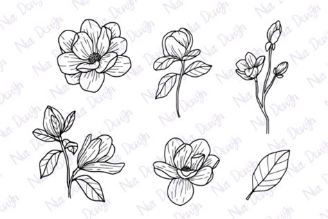 Magnolia Flower Line Art Set Svg Graphic By Nurdesign99 · Creative Fabrica