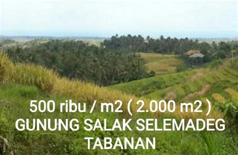 M Tanah View Sawah Terasiring Di Gunung Salak Selemadeg