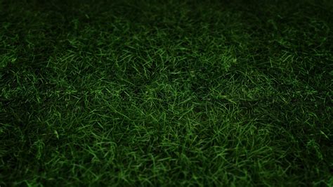 Dark Green Grass Art Tutorial