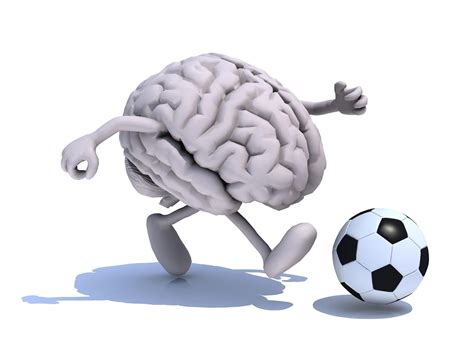 An Athletes Brain How Brain Structure Defines Physical Ability By