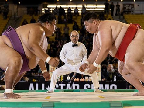calgary  host canadas   sumo festival calgary herald