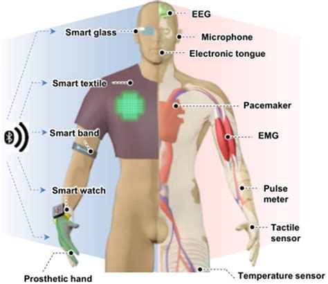 Wearable Devices And Sensors With Self Powered Te Generators