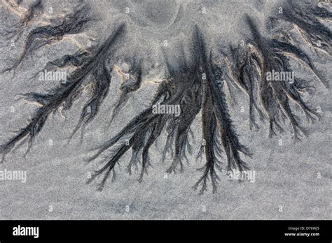 Muster Im Meer Fotos Und Bildmaterial In Hoher Auflösung Alamy