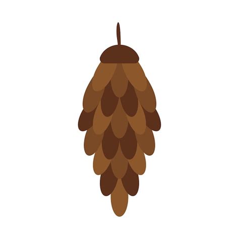 Premium Vector Spruce Cone On A White Background