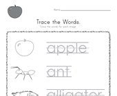 Sight Words Tracing Turtle Diary Worksheet Worksheets Library