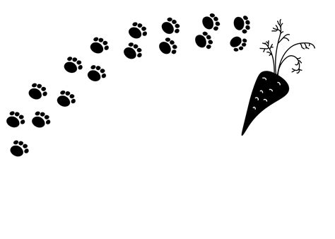 Rabbit Foot Print Steps Path And Carrot Vector Doodle Hand Drawn