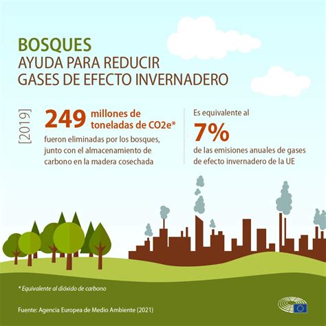 Cambio Clim Tico C Mo Gestionar Mejor Los Bosques Como Sumideros De