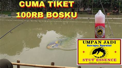 Mancing Di Tiket Rb Hasil Nya Memuaskan Youtube