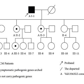 Genogram of the carrier with mutations in the TTN pathogenic gene. | Download Scientific Diagram