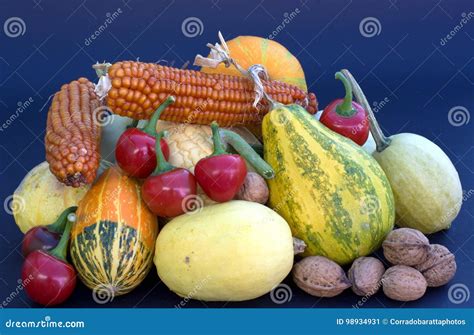 Fruit Vegetables And Cereals From Organic Fields Stock Image Image Of