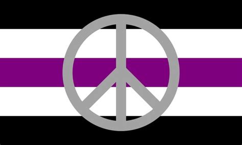 My Asexual Flag Redesign 2 For The Ace Rights Activist R