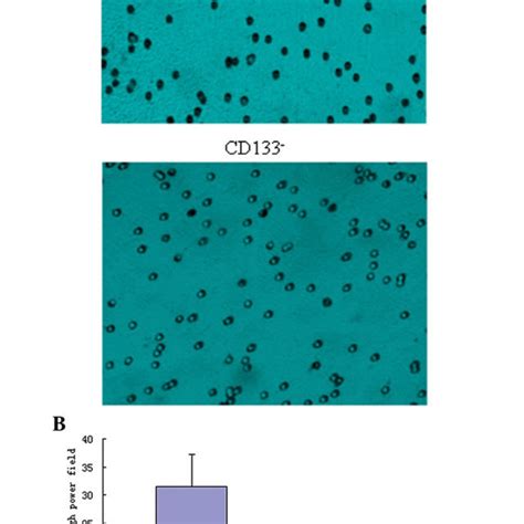 Comparison Of Cd133 − Glioblastoma Cell Invasion Ability A In