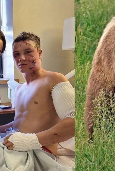 Jóvenes luchadores de Wyoming sobreviven a ataque de oso grizzli esto