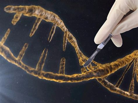 The US Has Just Endorsed Limited Genetic Modification Of Humans | by ...